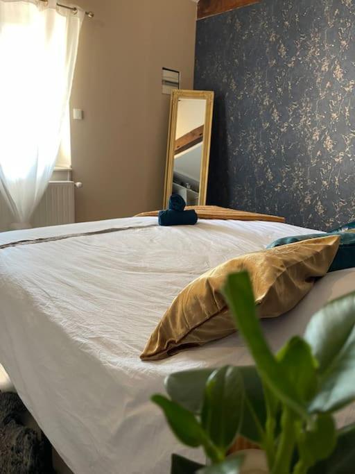 Appartement De Charme 80M2 Givors Exteriér fotografie